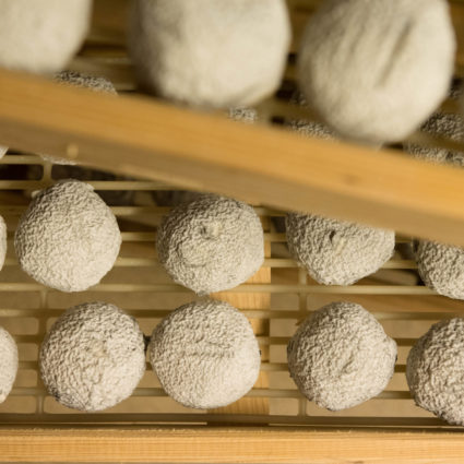 Cave d'affinage Marché Gare