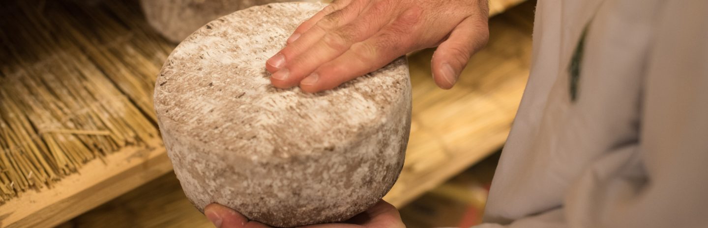 Affinage cloche à fromage 1