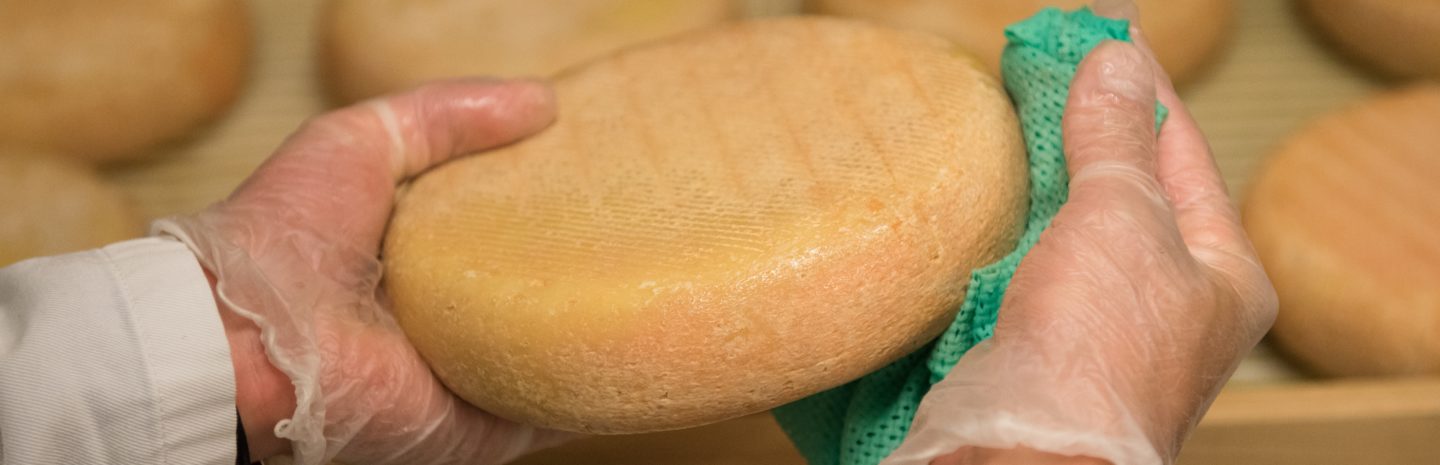 Affinage cloche à fromage 2