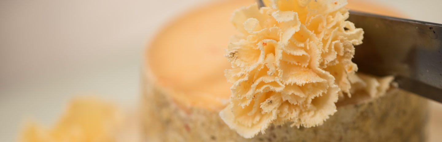 Fleur de tête de moine cloche à fromage