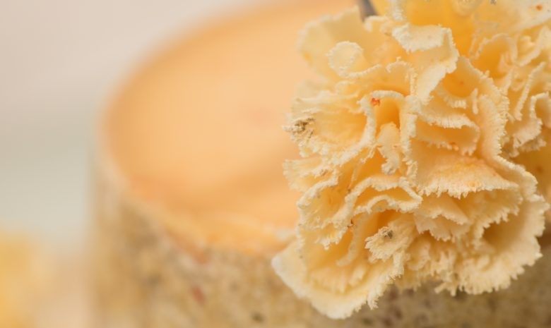 Fleur de tête de moine cloche à fromage