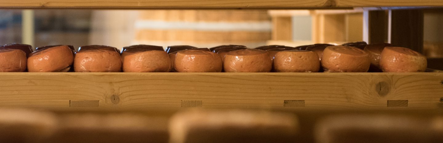 Cave affinage cloche à fromage