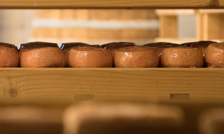 Cave affinage cloche à fromage